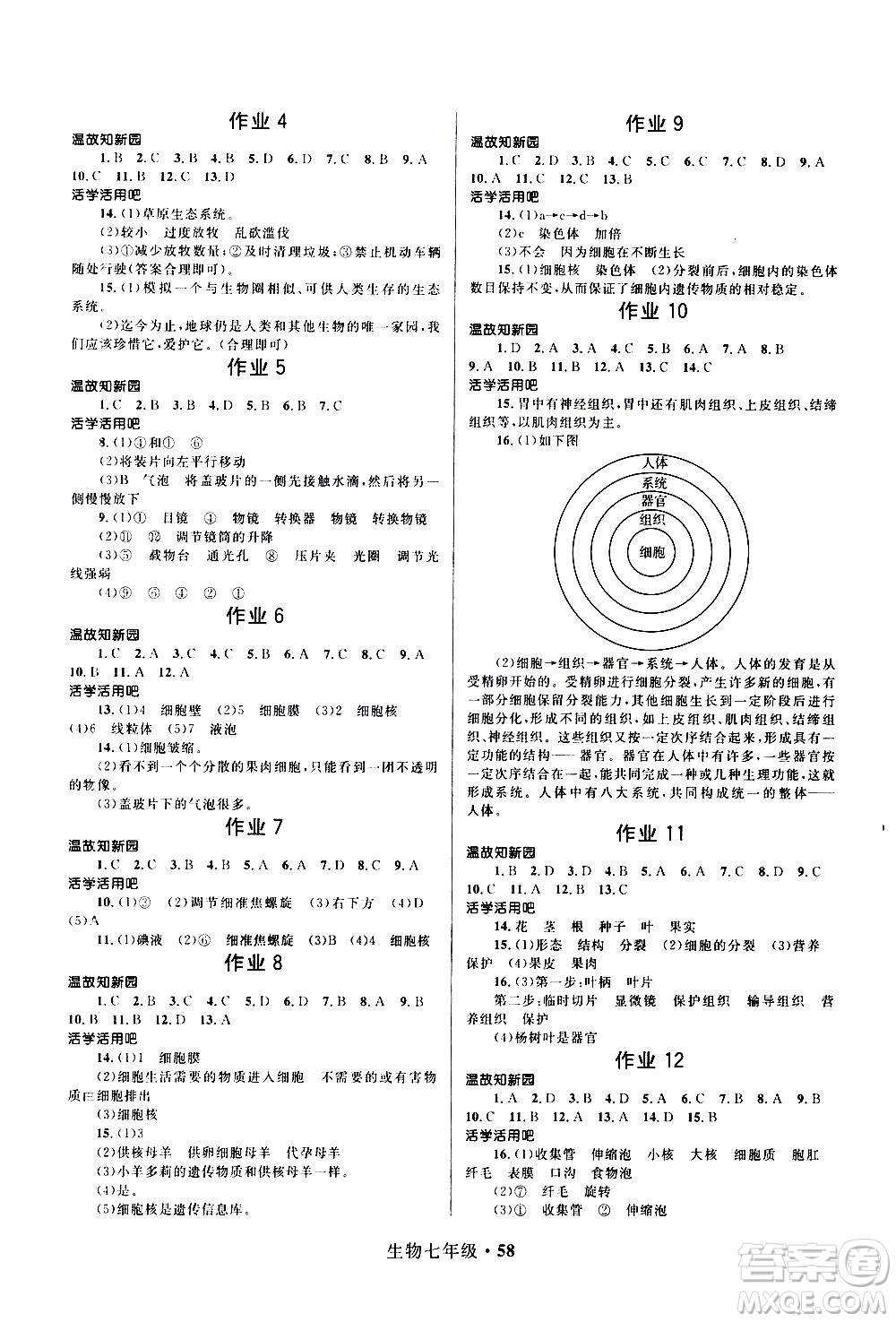 河北少年兒童出版社2021贏在起跑線中學生快樂寒假七年級生物人教版答案