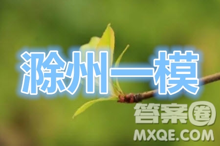 滁州市2021年高三第一次教學(xué)質(zhì)量監(jiān)測(cè)理科數(shù)學(xué)試題及答案