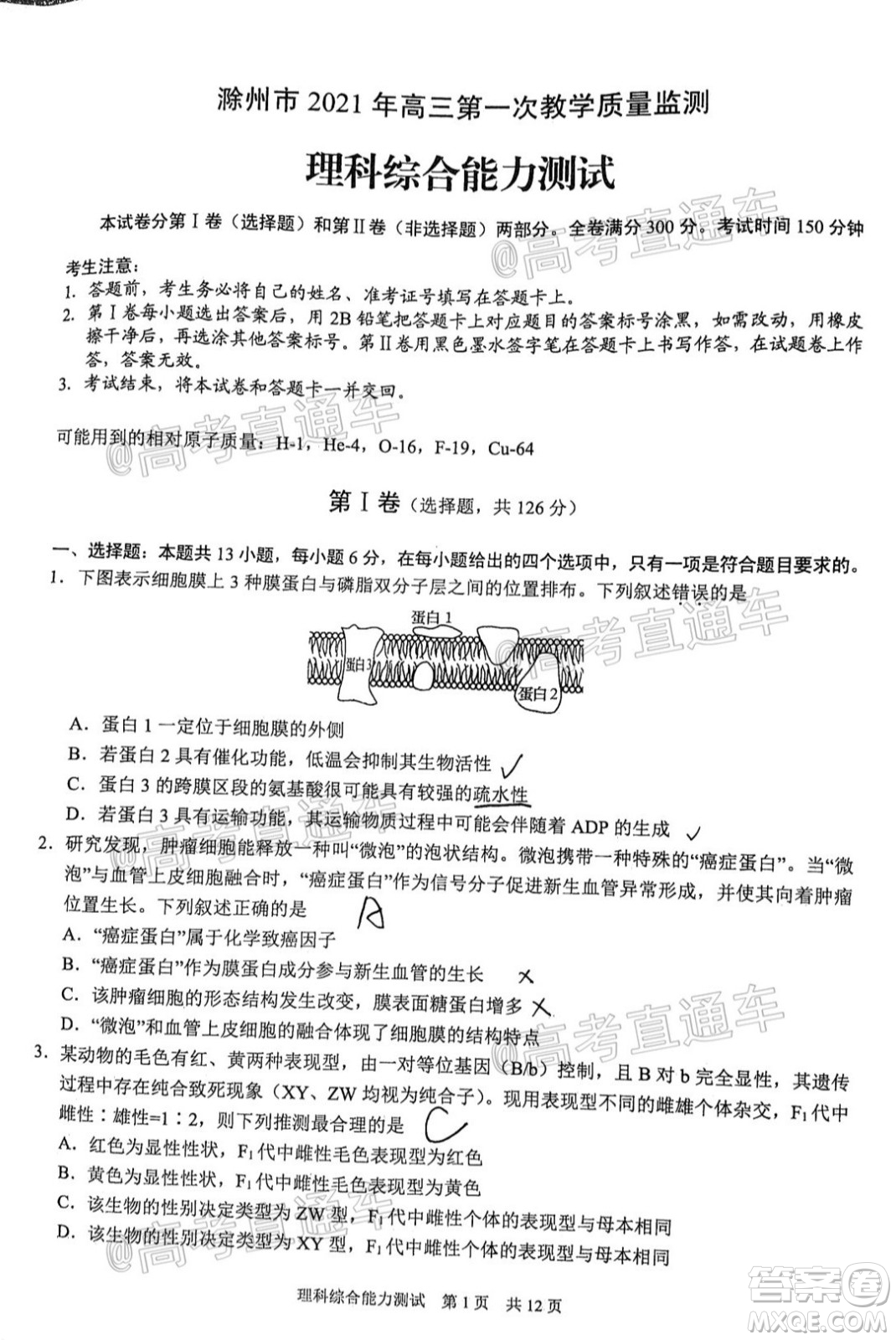 滁州市2021年高三第一次教學質量監(jiān)測理科綜合試題及答案