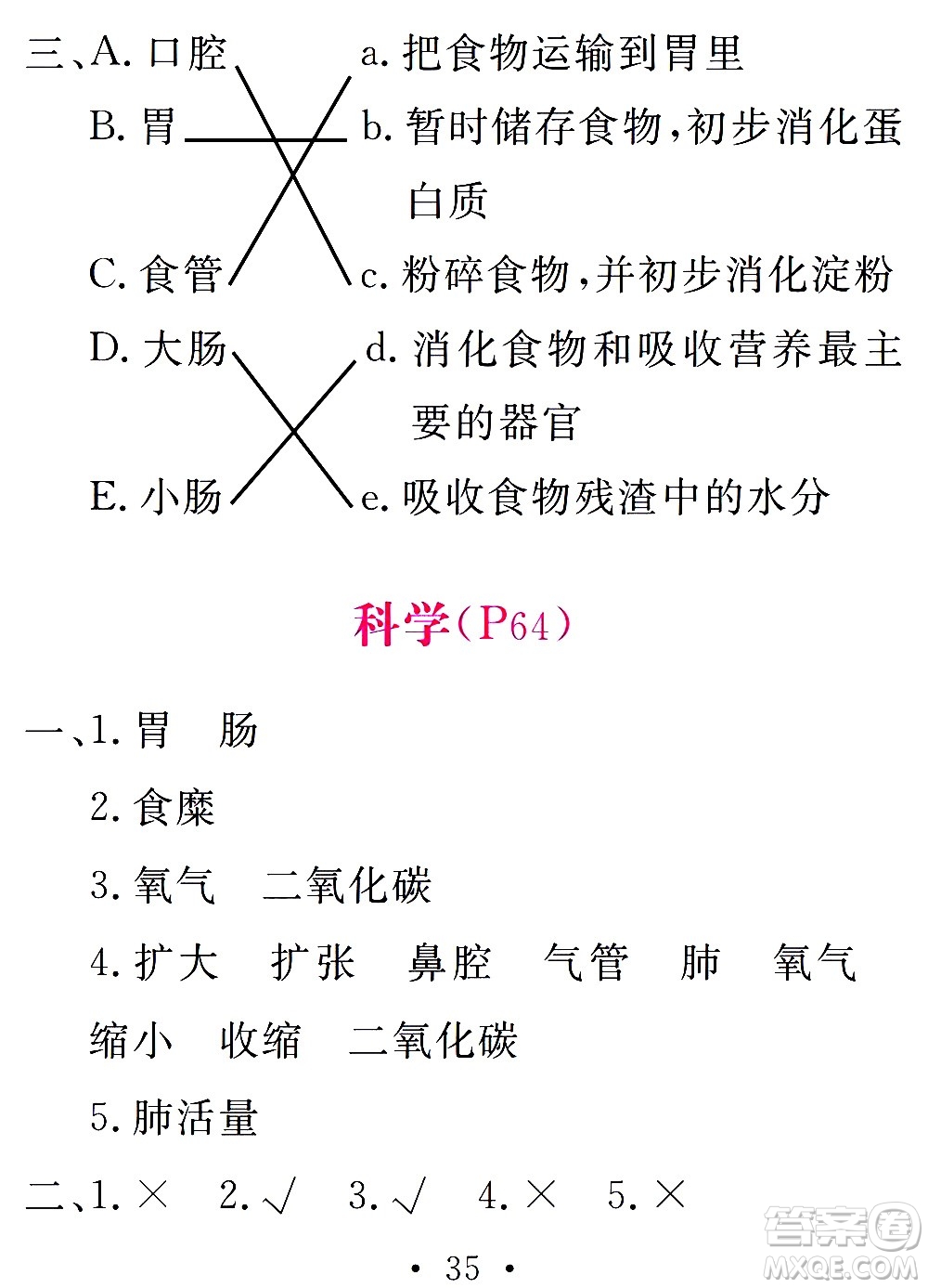 團(tuán)結(jié)出版社2021天舟文化精彩寒假四年級(jí)答案