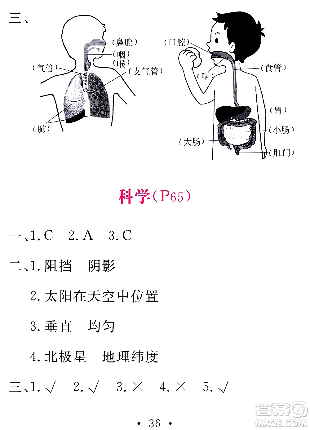 團(tuán)結(jié)出版社2021天舟文化精彩寒假四年級(jí)答案