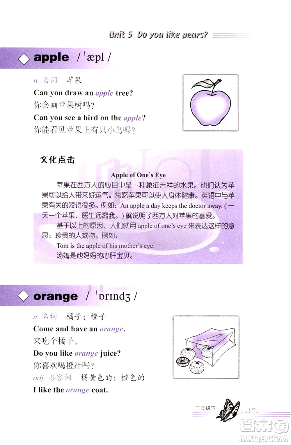 浙江教育出版社2021小學(xué)英語(yǔ)詞語(yǔ)手冊(cè)三年級(jí)下冊(cè)人教版答案