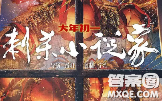 刺殺小說家觀后感500字 關于刺殺小說家的觀后感500字 