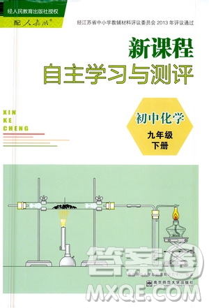 南京師范大學出版社2021年新課程自主學習與測評初中化學九年級下冊人教版答案