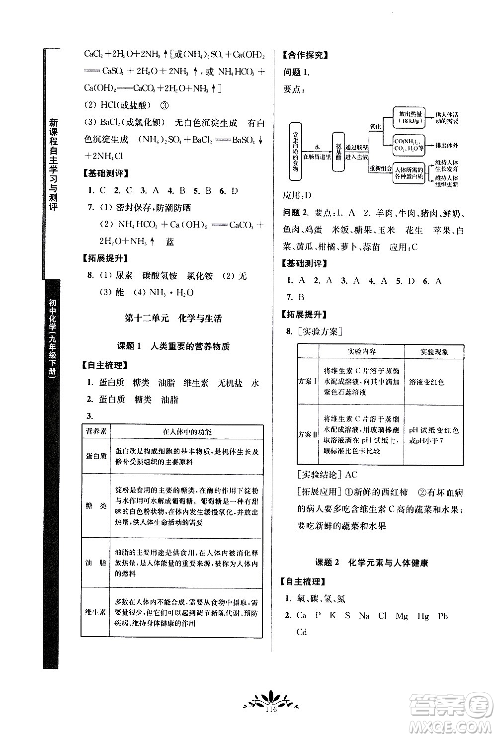 南京師范大學出版社2021年新課程自主學習與測評初中化學九年級下冊人教版答案