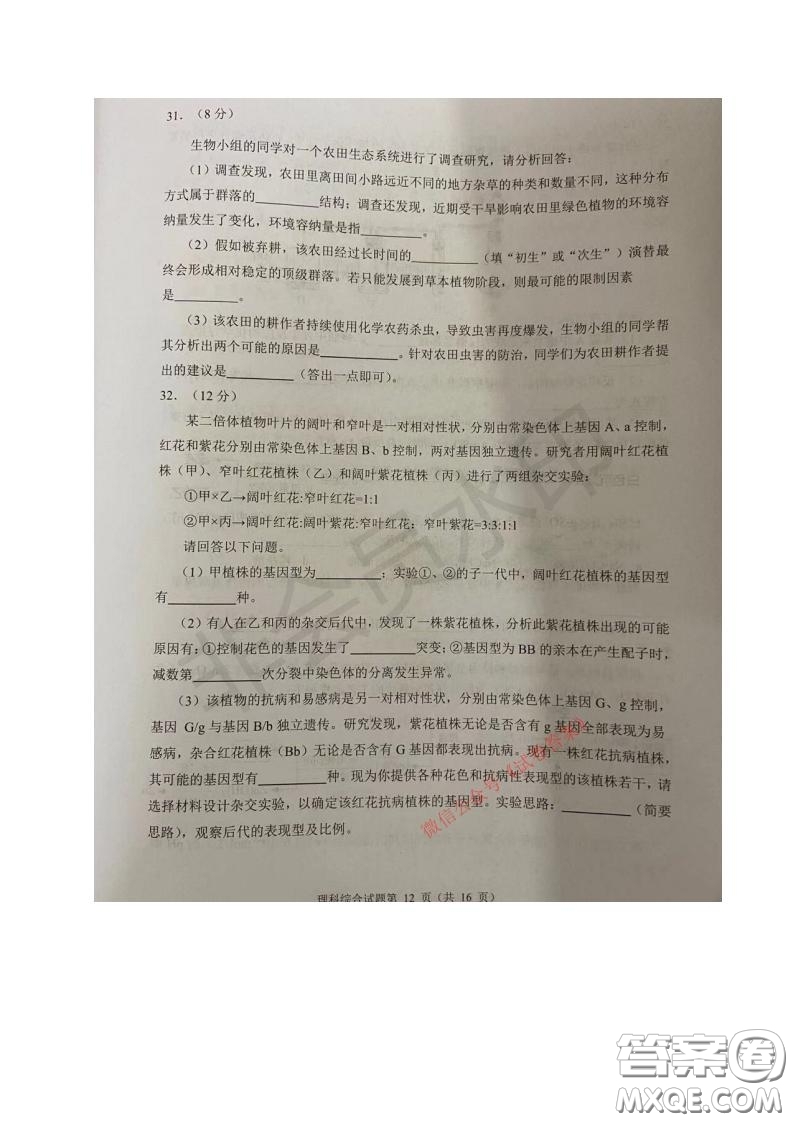 四川省2018級高中畢業(yè)班診斷性測試?yán)砜凭C合試題及答案