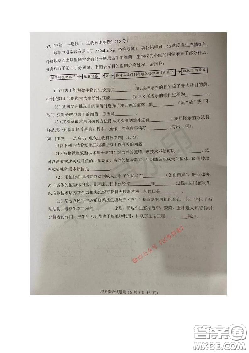 四川省2018級高中畢業(yè)班診斷性測試?yán)砜凭C合試題及答案