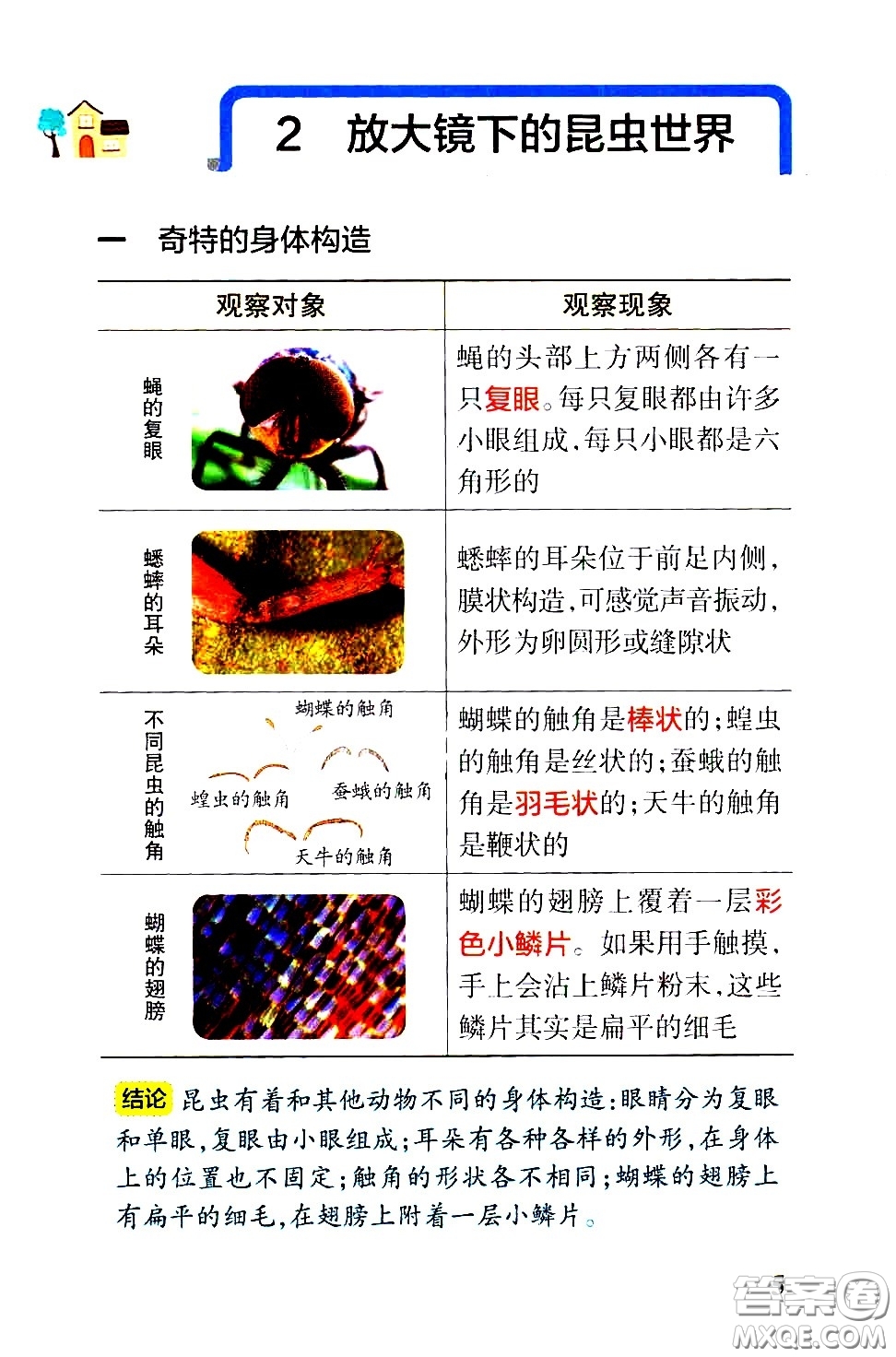 湖南師范大學(xué)出版社2021小學(xué)學(xué)霸速記科學(xué)六年級下冊JK教科版答案