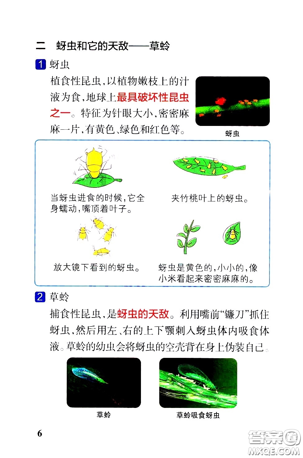 湖南師范大學(xué)出版社2021小學(xué)學(xué)霸速記科學(xué)六年級下冊JK教科版答案