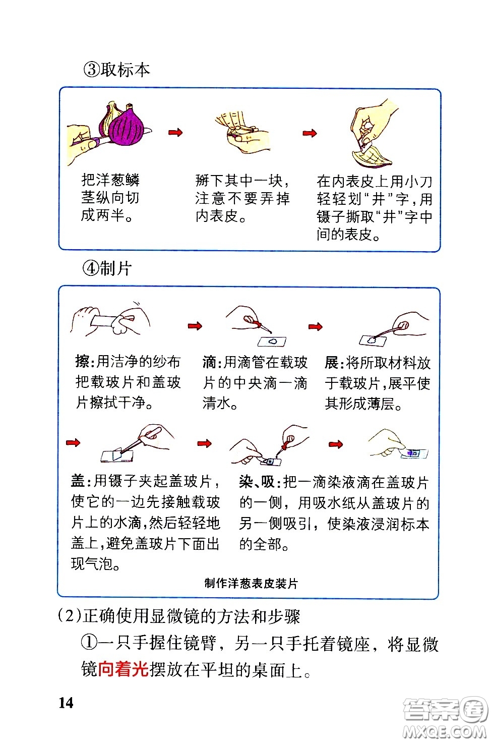 湖南師范大學(xué)出版社2021小學(xué)學(xué)霸速記科學(xué)六年級下冊JK教科版答案