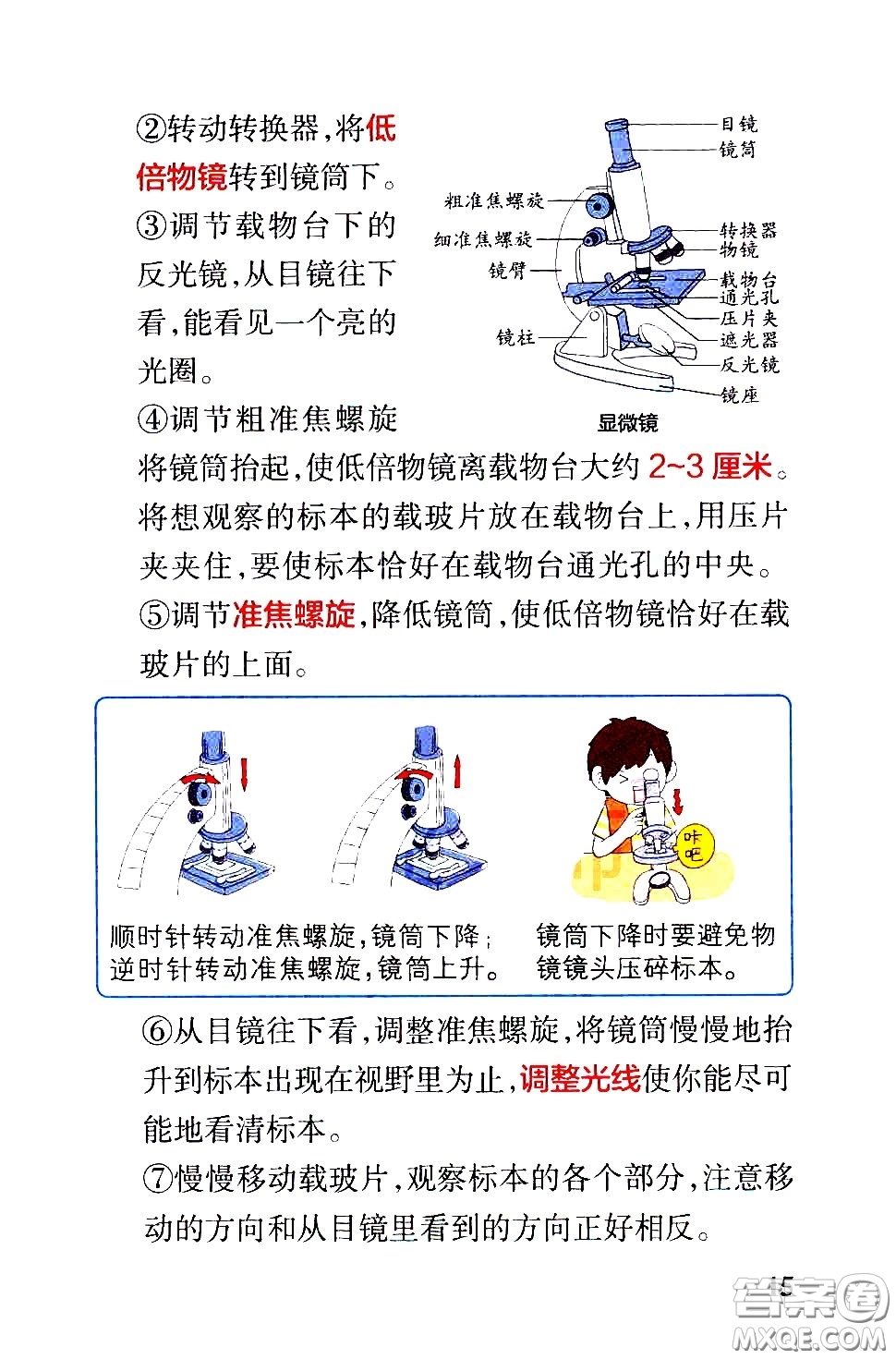 湖南師范大學(xué)出版社2021小學(xué)學(xué)霸速記科學(xué)六年級下冊JK教科版答案