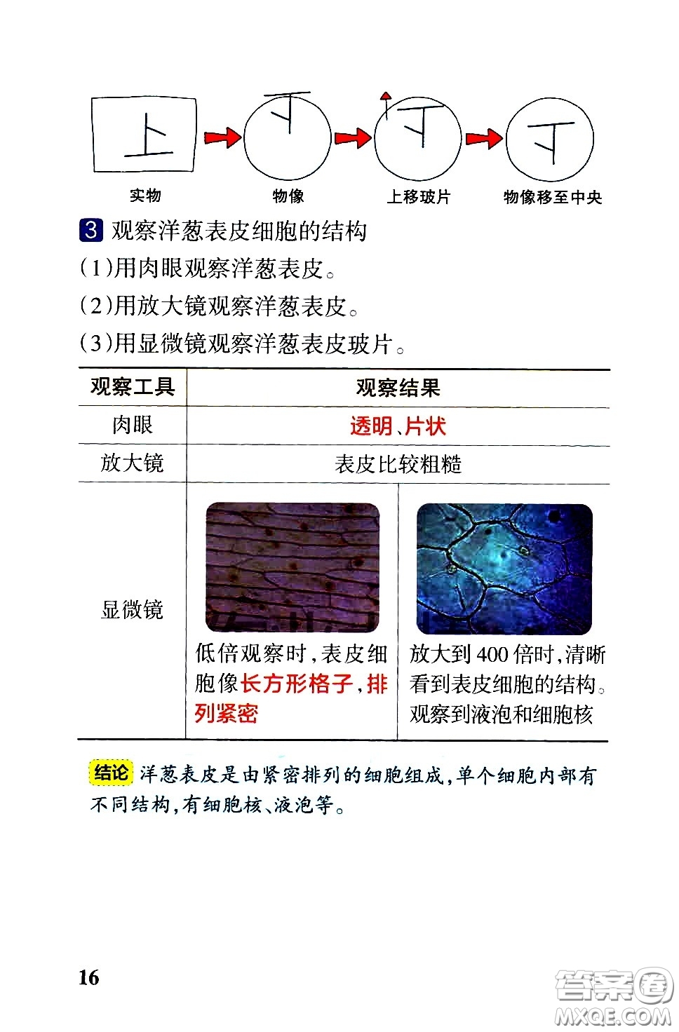 湖南師范大學(xué)出版社2021小學(xué)學(xué)霸速記科學(xué)六年級下冊JK教科版答案