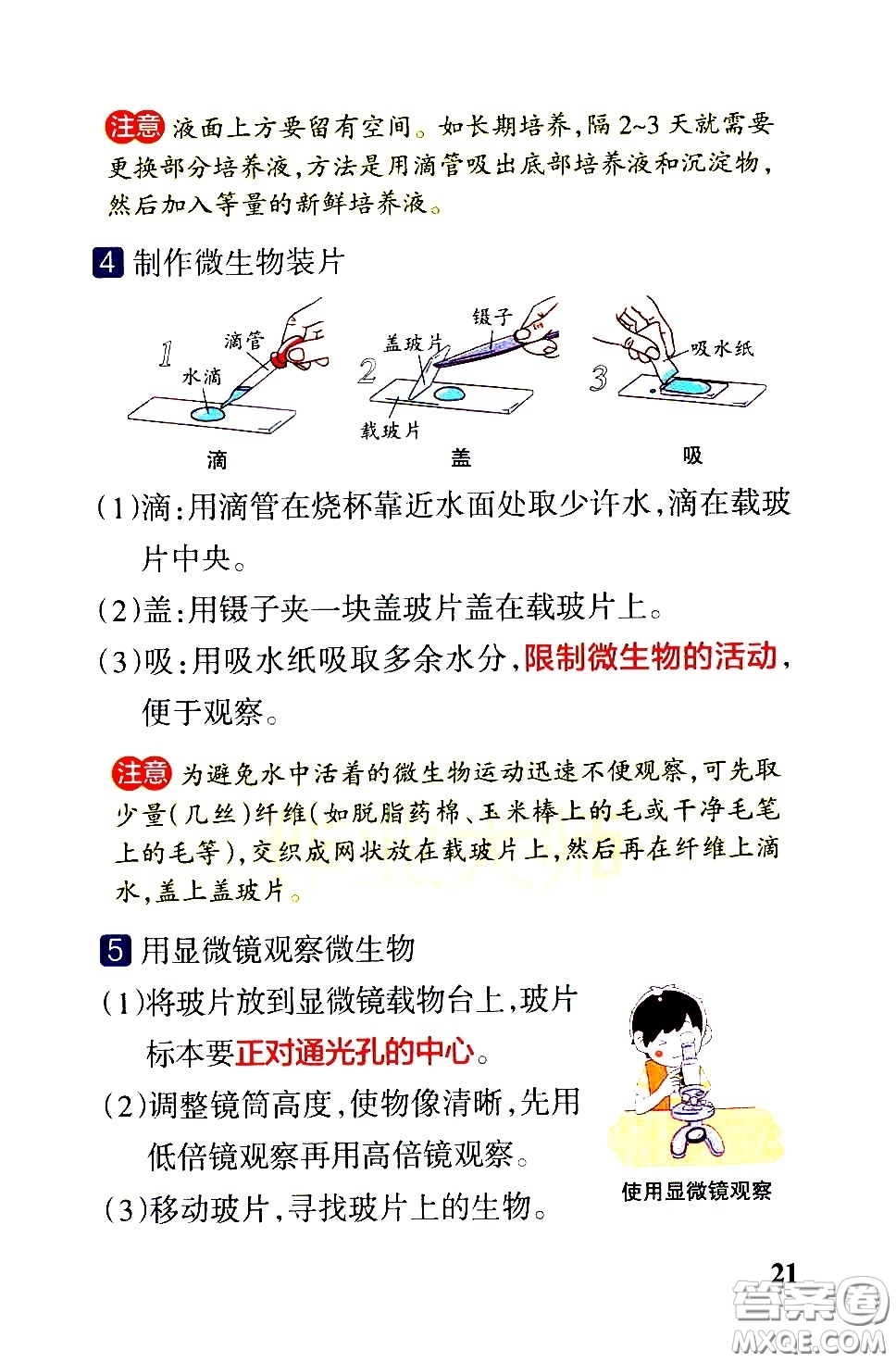 湖南師范大學(xué)出版社2021小學(xué)學(xué)霸速記科學(xué)六年級下冊JK教科版答案