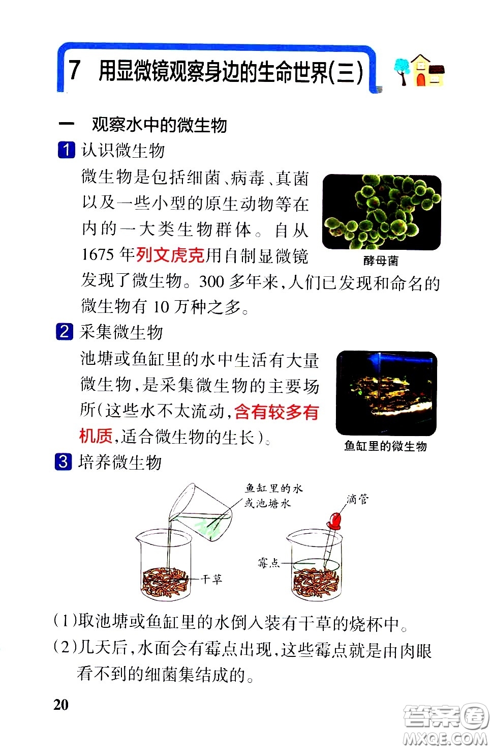 湖南師范大學(xué)出版社2021小學(xué)學(xué)霸速記科學(xué)六年級下冊JK教科版答案