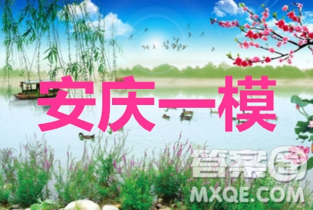 安慶2021年普通高中高考模擬考試一模文科數(shù)學(xué)試題及答案
