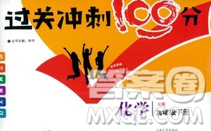 鐘書金牌2021過關(guān)沖刺100分九年級(jí)化學(xué)下冊人教版單元測試卷答案