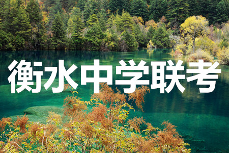 河北衡水中學2021屆全國高三第二次聯(lián)合考試語文試題及答案