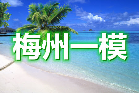 2021年梅州市高三總復(fù)習(xí)質(zhì)檢試卷語文試題及答案