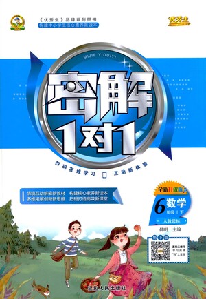 延邊人民出版社2021密解1對1數(shù)學六年級下冊人教版答案