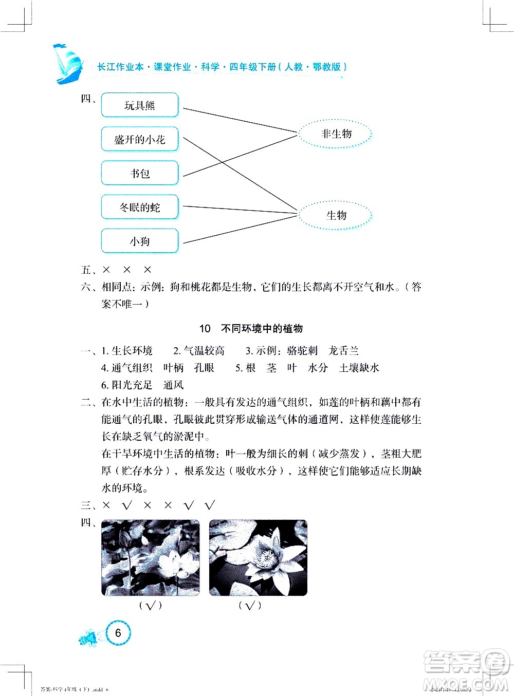 湖北教育出版社2021長(zhǎng)江作業(yè)本課堂作業(yè)科學(xué)四年級(jí)下冊(cè)人教鄂教版答案