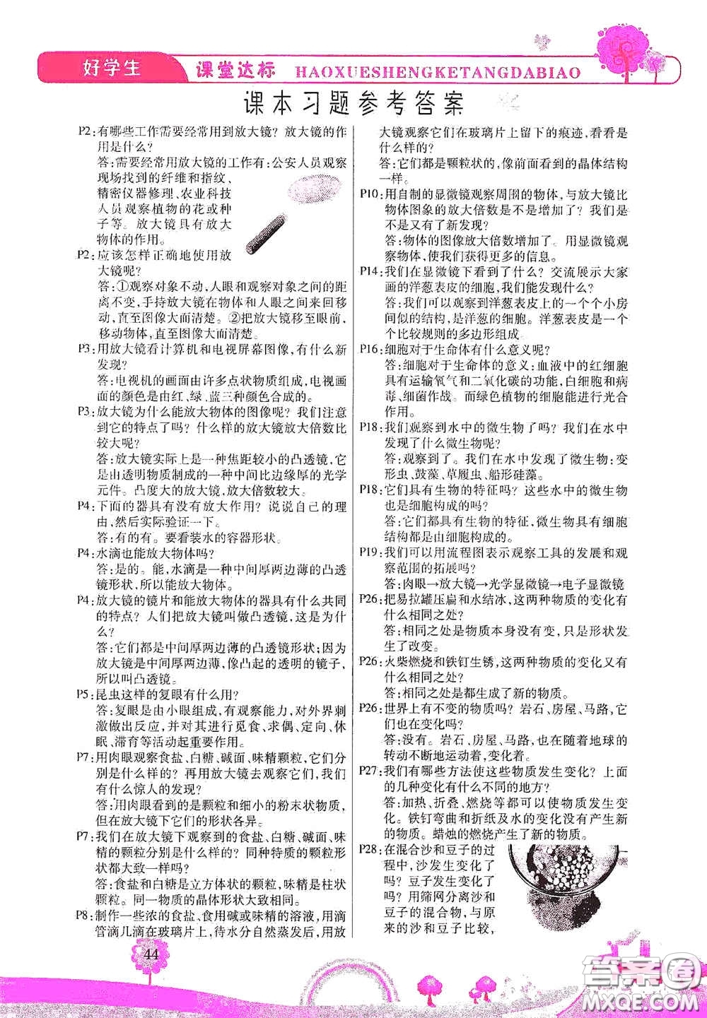 河北少年兒童出版社2021好學(xué)生課堂達(dá)標(biāo)六年級(jí)科學(xué)下冊(cè)JK版答案