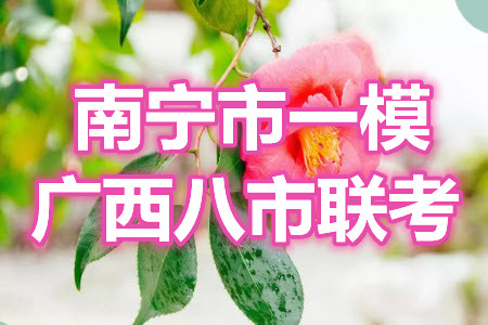 南寧市2021屆高中畢業(yè)班第一次適應性測試語文試卷及答案