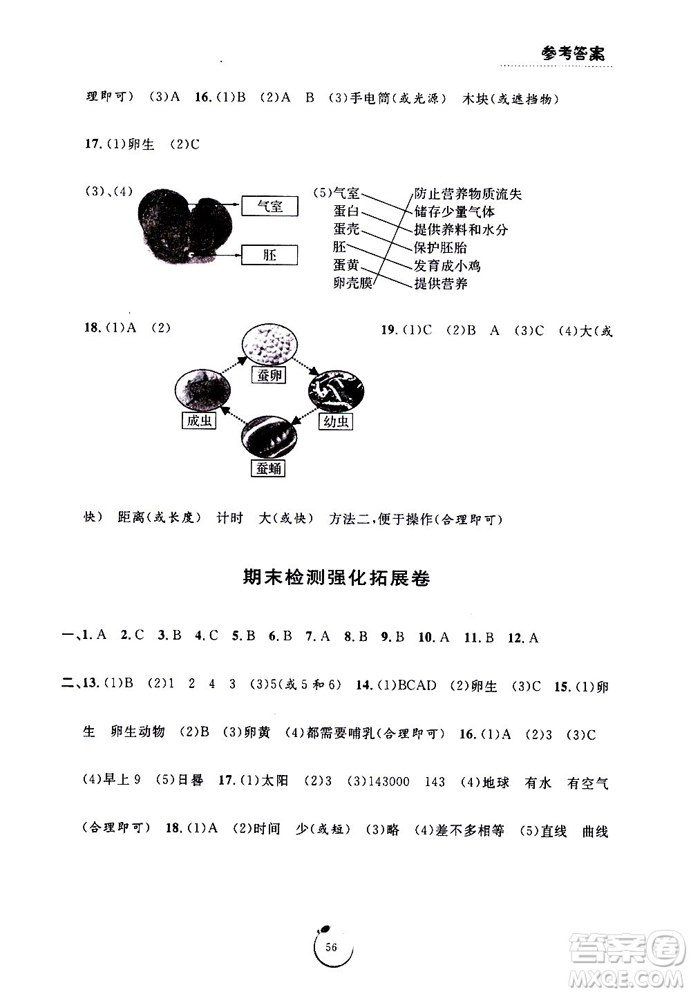 寧波出版社2021浙江好卷科學(xué)三年級(jí)下冊(cè)JK教科版答案