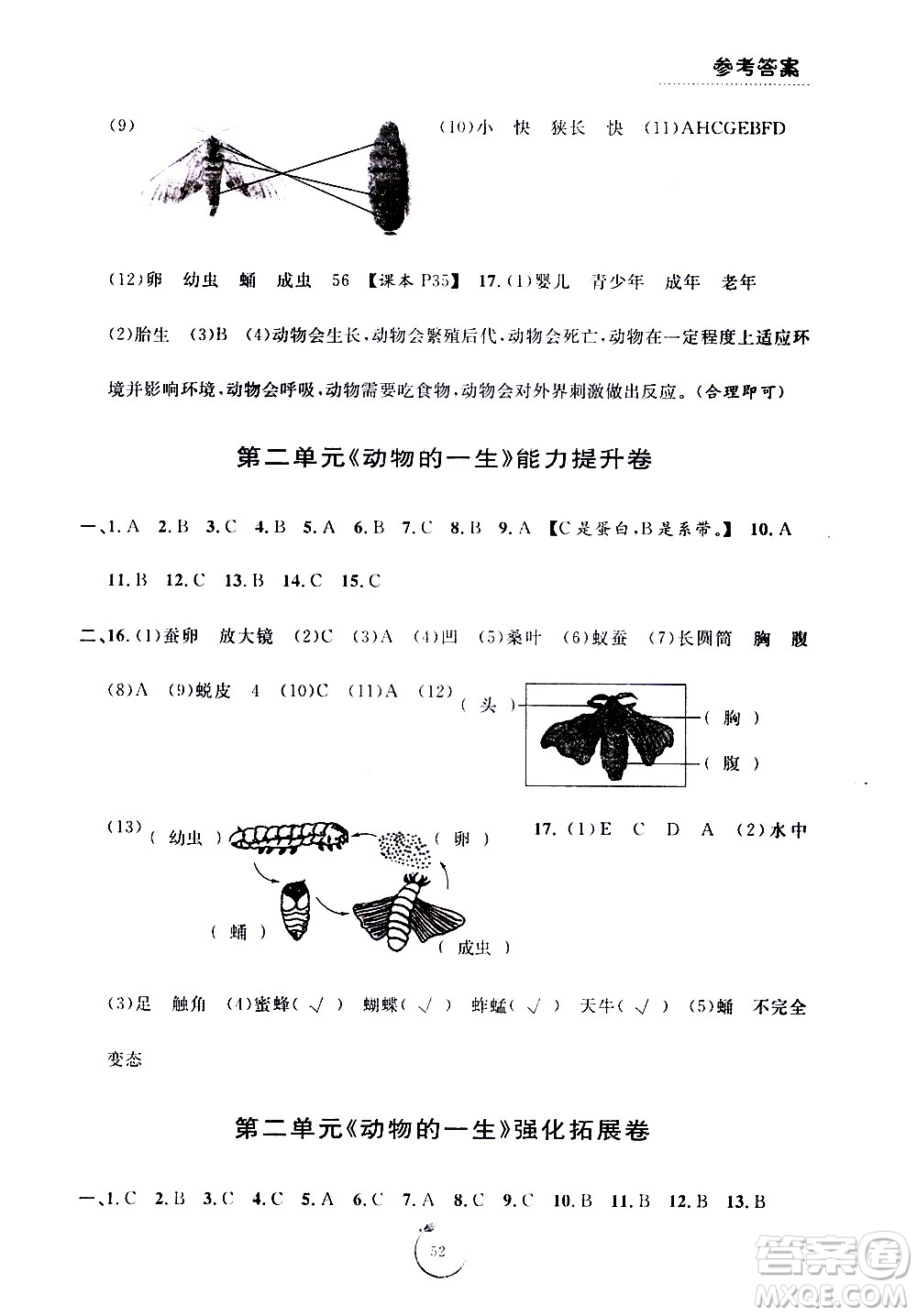 寧波出版社2021浙江好卷科學(xué)三年級(jí)下冊(cè)JK教科版答案