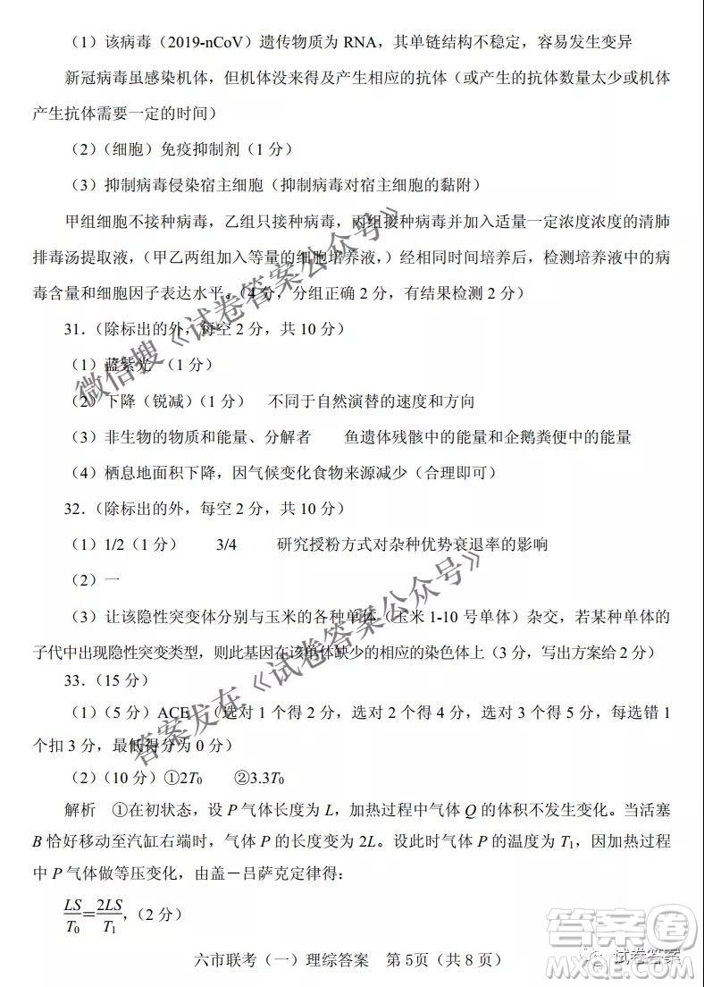 2021年河南省六市高三第一次聯(lián)考理科綜合試題及答案