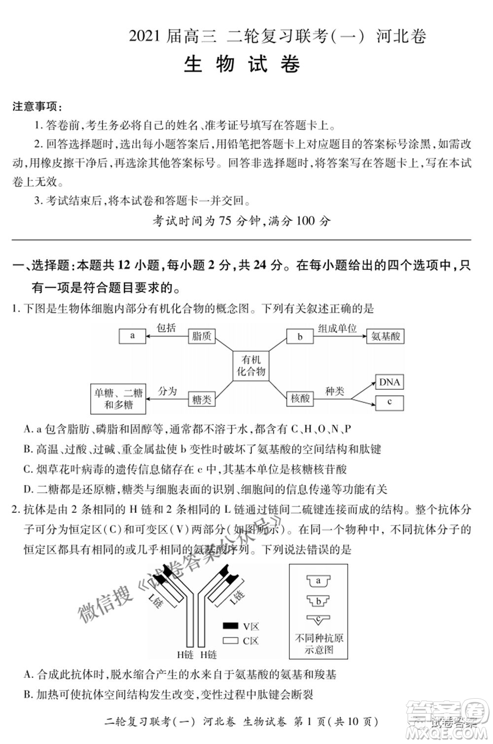 百師聯(lián)盟2021屆高三二輪復習聯(lián)考一新河北卷生物試卷及答案