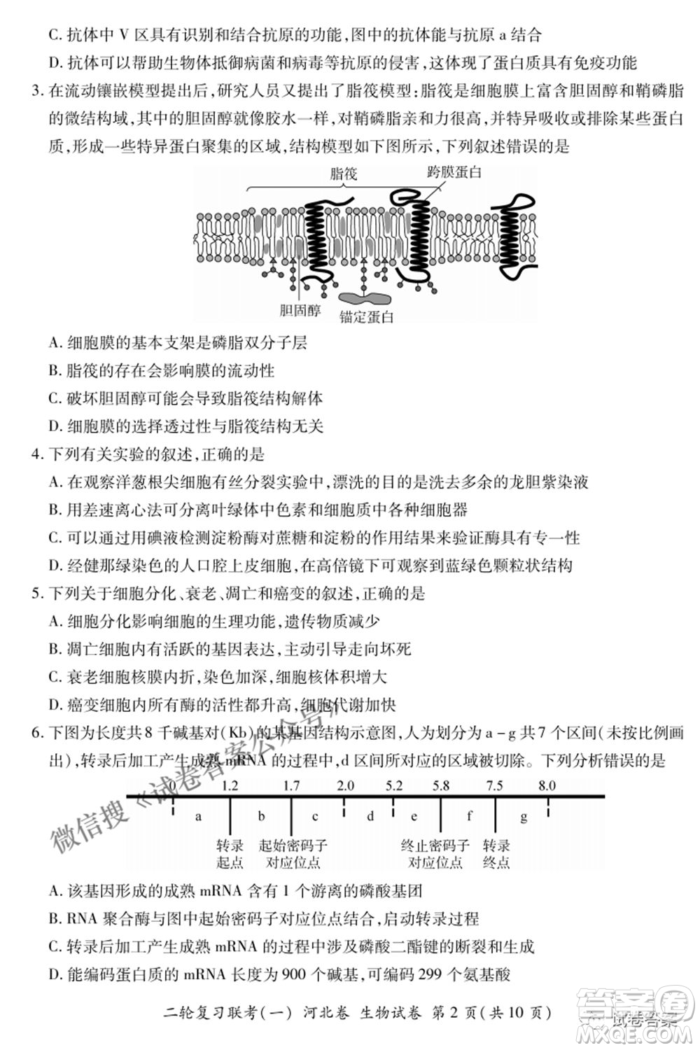 百師聯(lián)盟2021屆高三二輪復習聯(lián)考一新河北卷生物試卷及答案