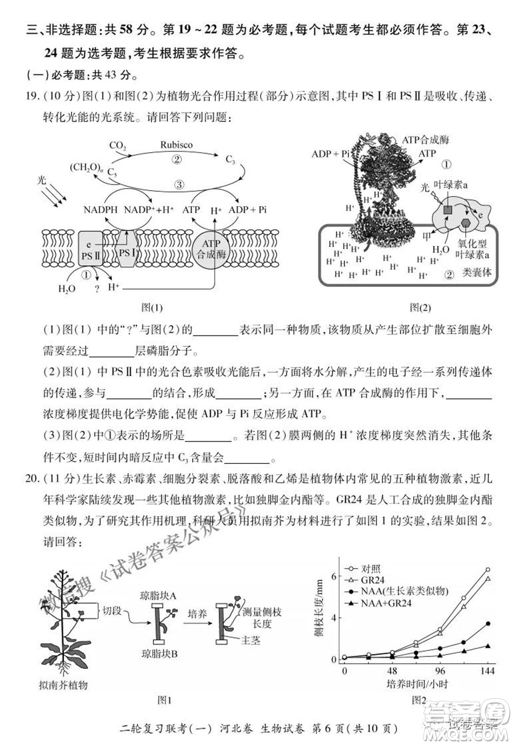 百師聯(lián)盟2021屆高三二輪復習聯(lián)考一新河北卷生物試卷及答案