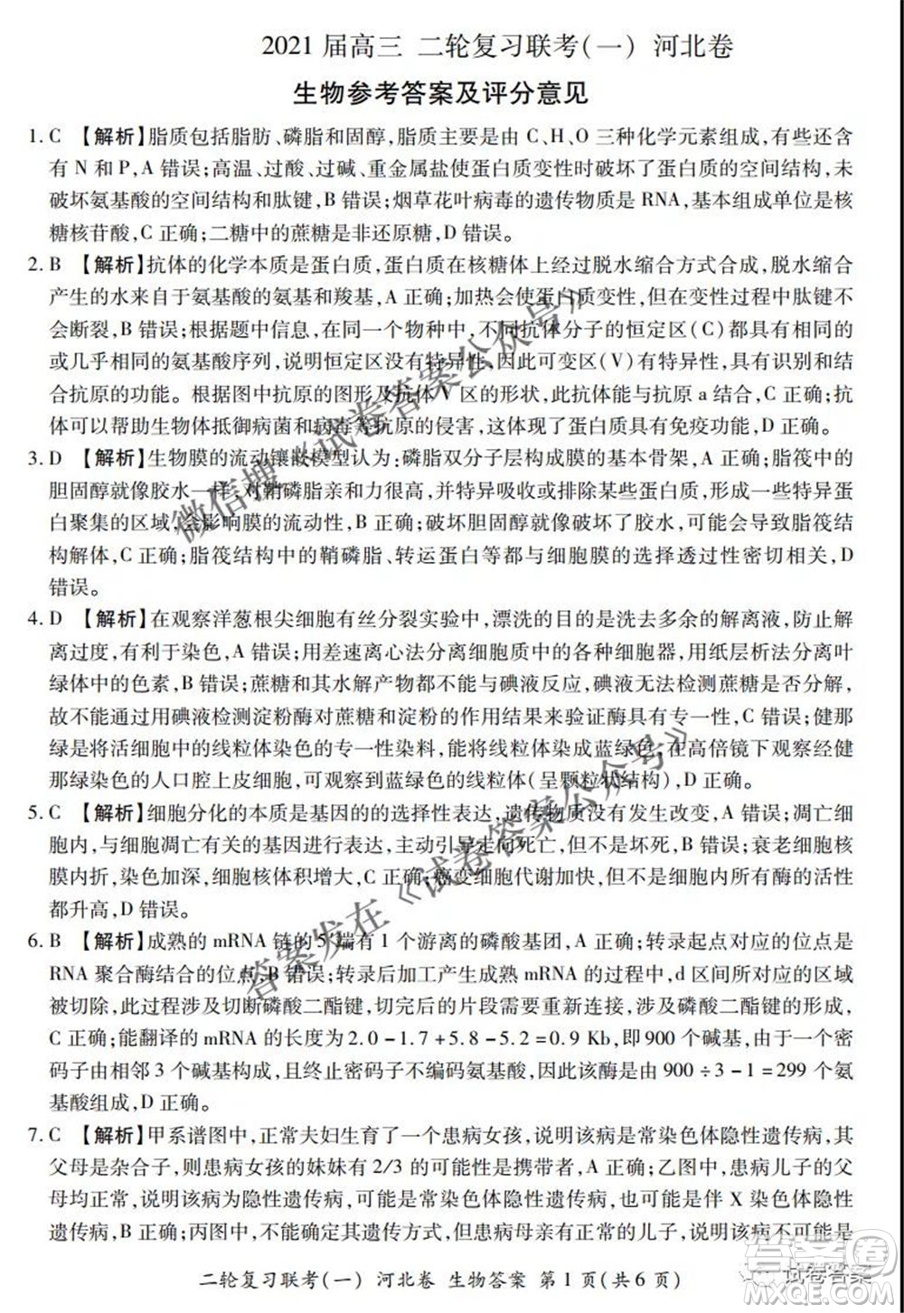 百師聯(lián)盟2021屆高三二輪復習聯(lián)考一新河北卷生物試卷及答案