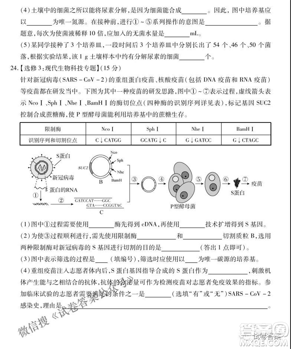 百師聯(lián)盟2021屆高三二輪復習聯(lián)考一新河北卷生物試卷及答案