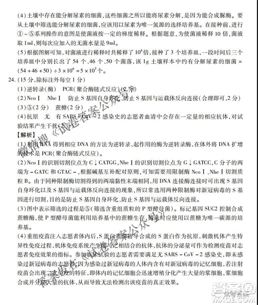 百師聯(lián)盟2021屆高三二輪復習聯(lián)考一新河北卷生物試卷及答案
