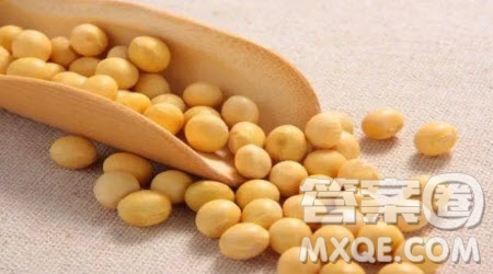 關(guān)于生活感悟的初中作文600字 對生活的感悟的作文600字