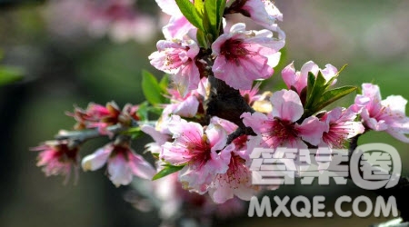 對(duì)初春景象的具體描寫(xiě)作文600字 關(guān)于對(duì)初春景象的具體描寫(xiě)的作文600字