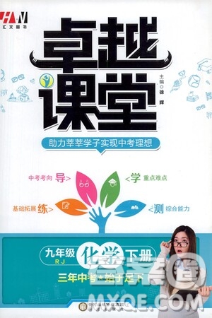 陽光出版社2021匯文圖書卓越課堂九年級化學(xué)下冊人教版答案