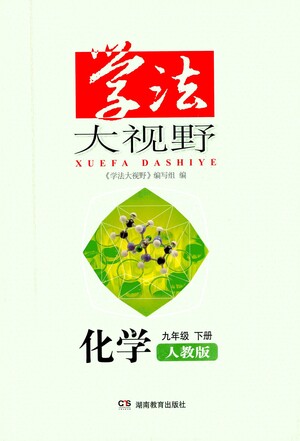 湖南教育出版社2021學(xué)法大視野化學(xué)九年級下冊人教版答案