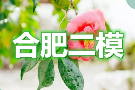 合肥市2021年高三第二次教學質(zhì)量檢測理科數(shù)學試題及答案