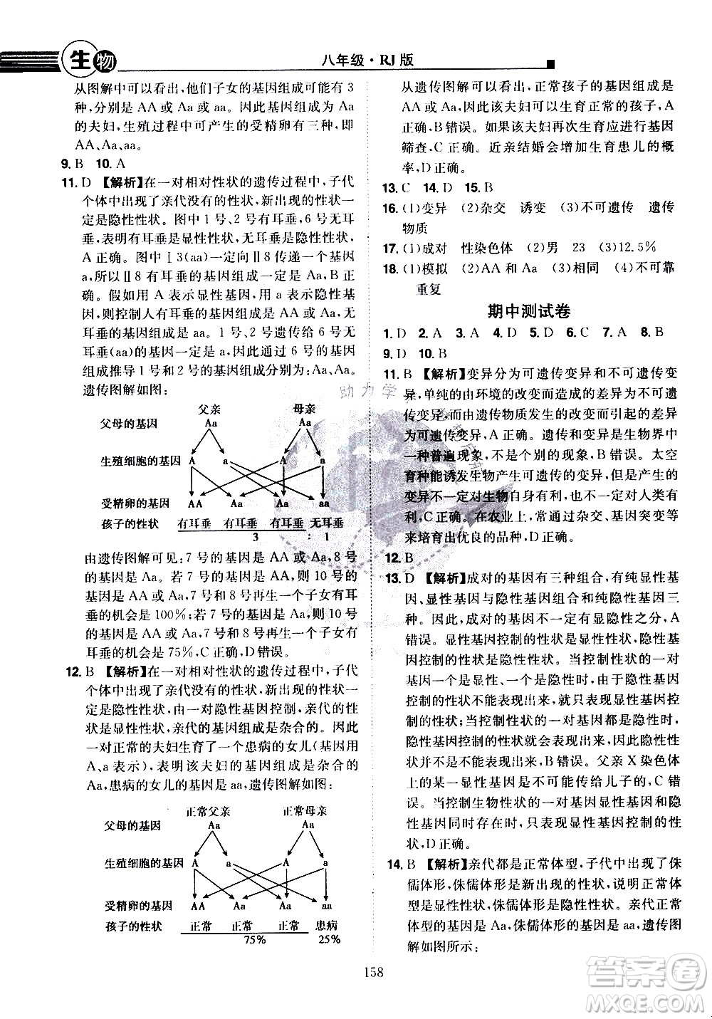 江西美術出版社2021學海風暴生物八年級下冊RJ人教版答案