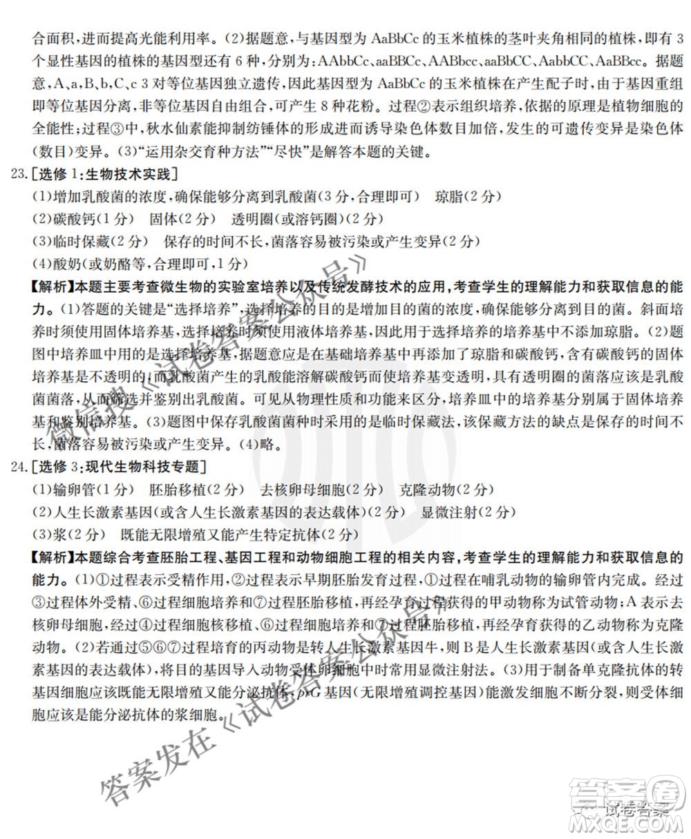 2021年河北遼寧新高考金太陽聯(lián)考4008C高三生物答案
