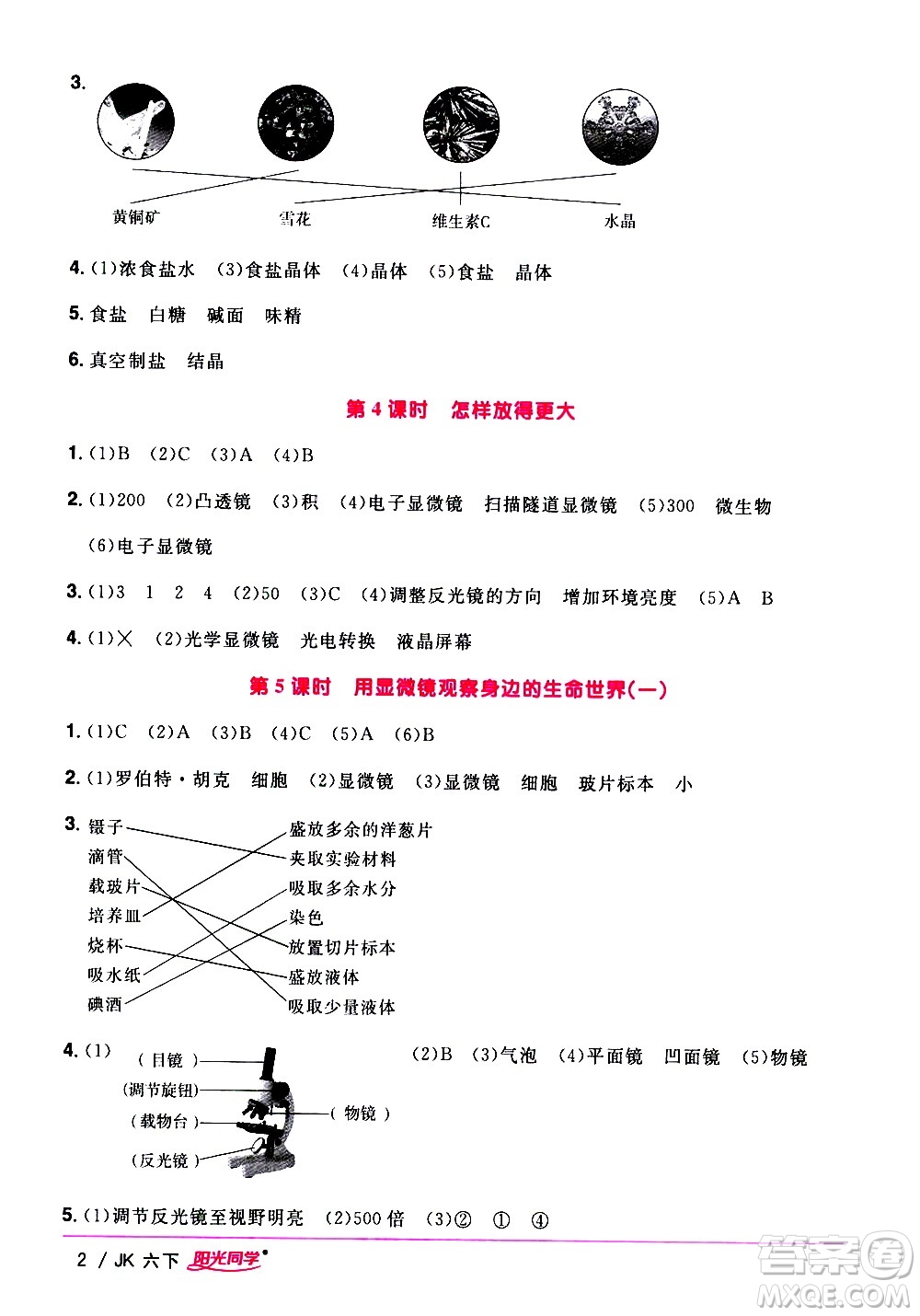 江西教育出版社2021陽(yáng)光同學(xué)課時(shí)優(yōu)化作業(yè)科學(xué)六年級(jí)下冊(cè)JK教科版答案