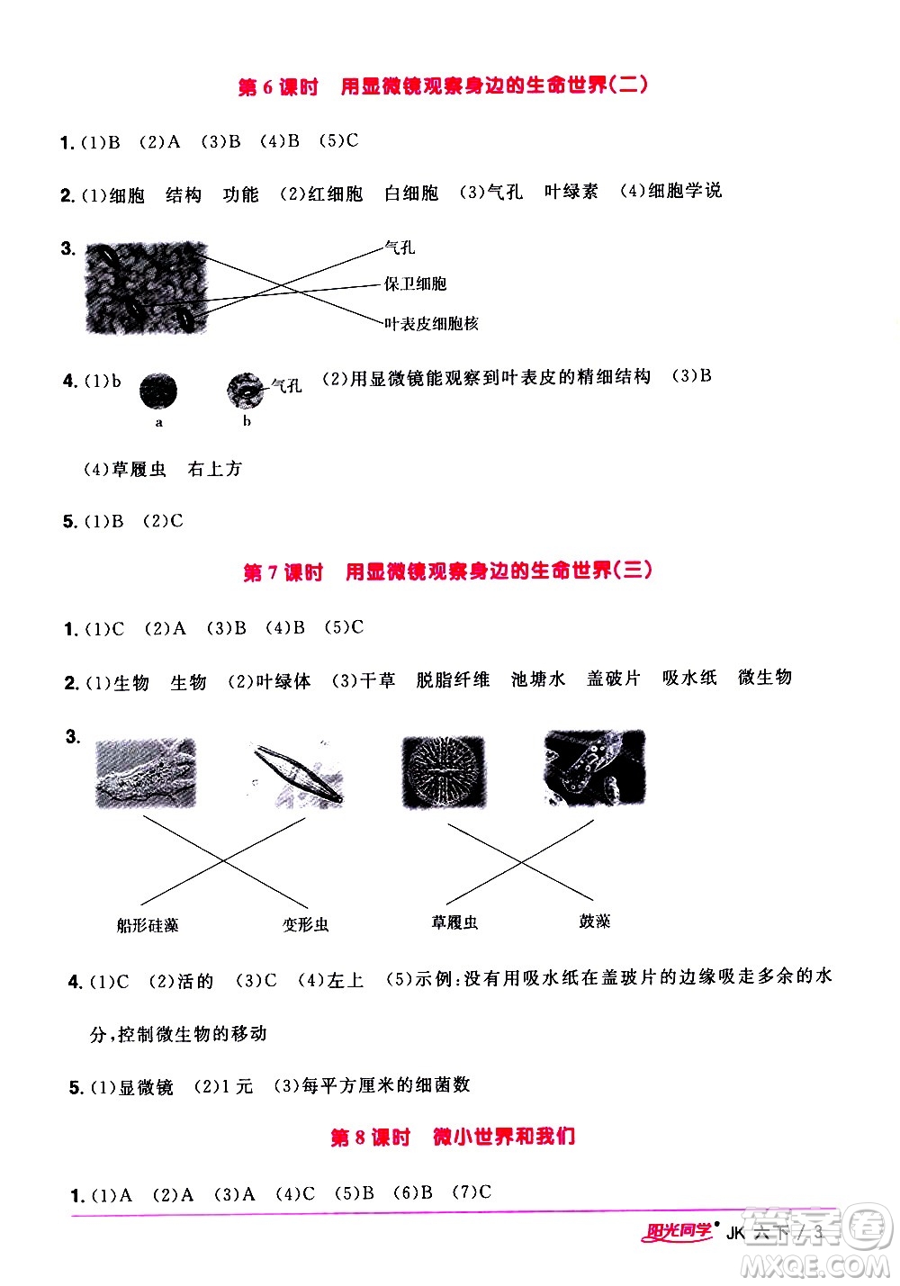 江西教育出版社2021陽(yáng)光同學(xué)課時(shí)優(yōu)化作業(yè)科學(xué)六年級(jí)下冊(cè)JK教科版答案