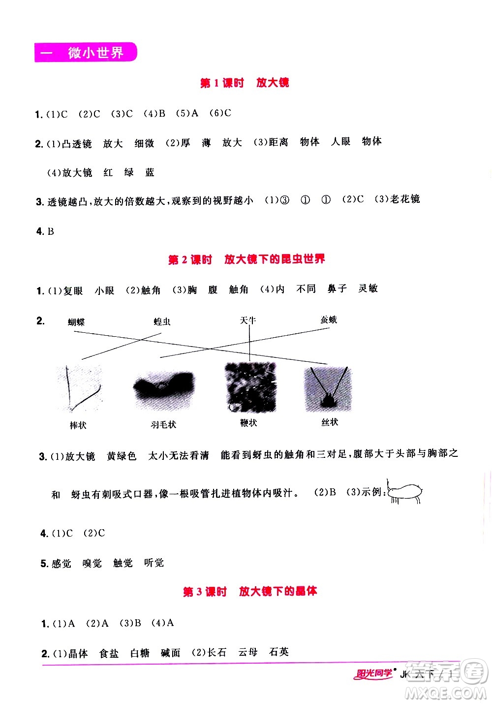 江西教育出版社2021陽(yáng)光同學(xué)課時(shí)優(yōu)化作業(yè)科學(xué)六年級(jí)下冊(cè)JK教科版答案
