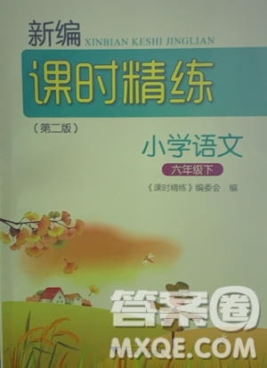 浙江大學(xué)出版社2021新編課時(shí)精練第二版小學(xué)語文六年級(jí)下冊(cè)答案