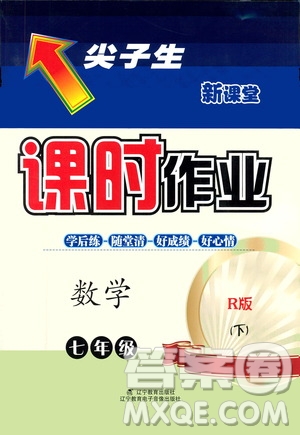 遼寧教育出版社2021尖子生新課堂課時(shí)作業(yè)七年級數(shù)學(xué)下冊人教版答案