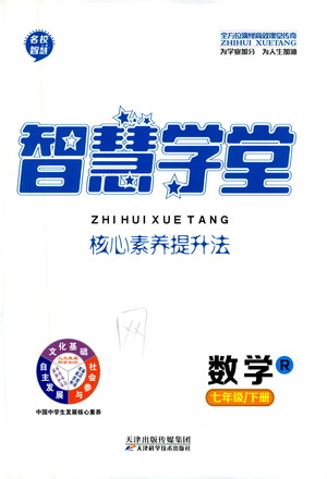 天津科學技術(shù)出版社2021智慧學堂核心素養(yǎng)提升法數(shù)學七年級下冊R人教版答案