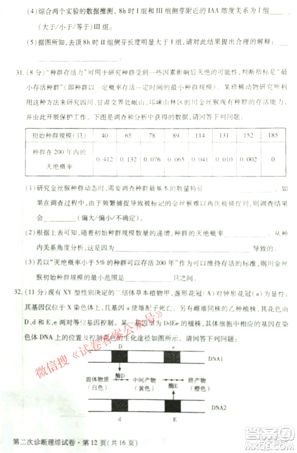 2021年甘肅省第二次高考診斷考試?yán)砜凭C合試題及答案
