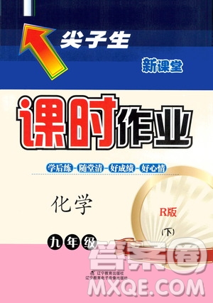 遼寧教育出版社2021尖子生新課堂課時(shí)作業(yè)九年級(jí)化學(xué)下冊(cè)人教版答案